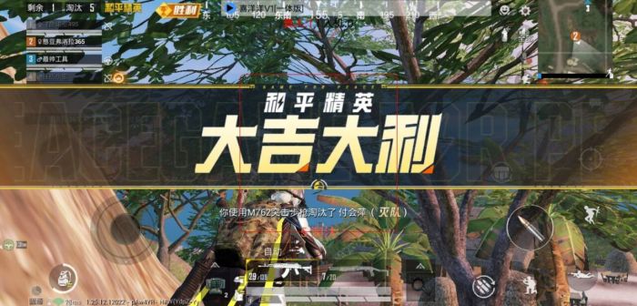和平精英挂 - 全平台辅助支持安卓苹果模拟器